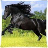 Windblown Mane Icelandic Horses Black Equine Throw Pillow Case Cushion Covers Square 18x18 Inch