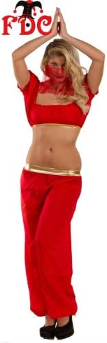 CC Belly Dancer Bollywood Jasmine Genie Arabian Princess Ladies Fancy Dress Costume - Red - Uk8-10