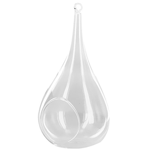 Gazechimp Transparent Kegelglas Wand Hängen Glas Vase Für Pflanzen Blumen Wohnzimmer Wand Dekor - 5