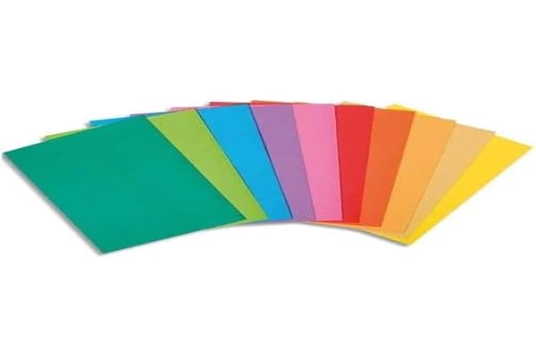 EXACOMPTA Paquet de 100 sous-chemises Rock's en carte 80 g, coloris assortis