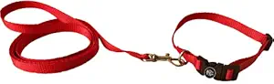 The Pets Company Leash and Collar Set Suitable for Puppies of All Dog Breeds, X Small, Red