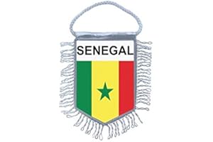 Akachafactory Fanion Mini Drapeau Pays Voiture Decoration Senegal senegalais