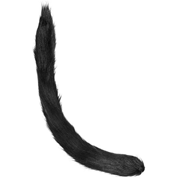 Serre-Tête Oreille De Chat Renard Bandeau Handband Noir Et Collier Ras Du Cou En Pu Avec Cloche Cat Costume Kit Accessoires C Am