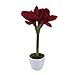 Produktbild wohnfuehlidee Kunstpflanze Amaryllis, Farbe dunkelrot, inkl. Keramik-Topf, Höhe ca. 35 cm
