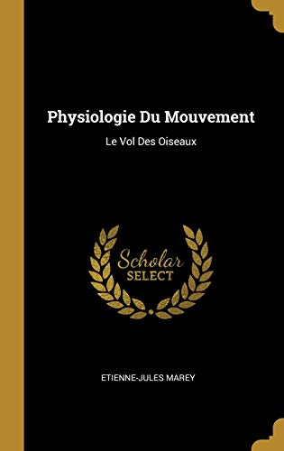 Physiologie Du Mouvement: Le Vol Des Oiseaux