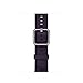 Produktbild APPLE 38mm Dark Aubergine Classic Buckle