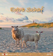Extra Schaf 2014