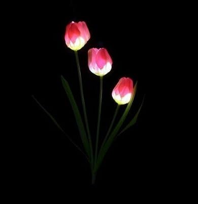 Esky Lampe Solaire De Jardin Eclairage Solaire Extérieur pour Décoration Lumière Ambiance Automatique Artificielle Tulipe Lampe Stake SL70