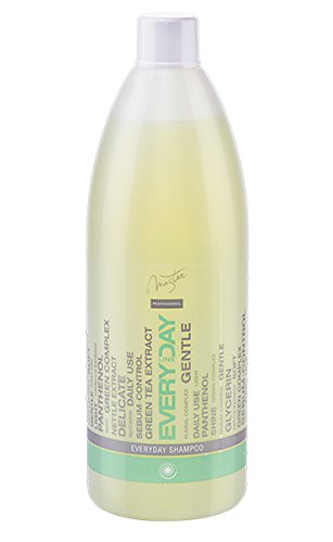 Spa Master Profesional - Champú para Uso Diario con Té Verde, Ortiga y Pantenol, 970 ml