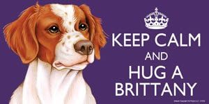 Brittany Spaniel Dog Gift - 'KEEP CALM' LARGE colourful 4" x 8" MAGNET - High Quality flexible magnet for indoor or outdoor use for your Fridge, Car, Caravan or use on any flat metal surface -Water proof and UV resistant.