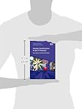 Image de Gender Stratification in the IT Industry: Sex, Status and Social Capital