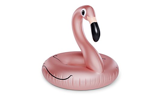 big mouth flamingo float