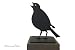 Produktbild NWTC Endstücke für Zaunpfosten, Motiv: singende Drossel