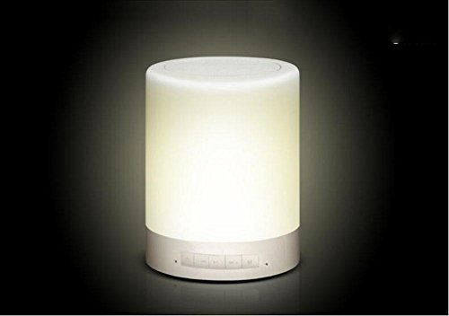 WY&WYLED emotionales Audio-festliches Geschenk Lampe tragbares tragbares wasserdichtes Bluetooth-Audio