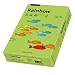 Produktbild 5 x Papyrus Kopierpapier Rainbow Intensiv A4 80g/qm VE=500 Blatt grün