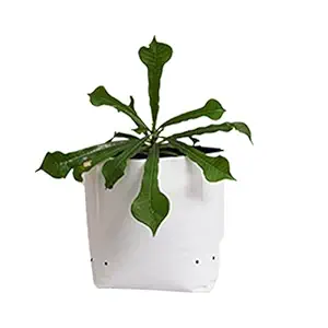 Grow Bags for Plants, (Pack of 1), 40 x 24 x 24 cm, Large Size, HDPE Poly, White Grow Bags for Terrace Gardening, Abono Plant Bags for Home Garden, Grow Bags Combo Offer