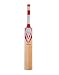Wolfer Liger Kashmir Willow Cricket Bat (Red) RS.2299.00