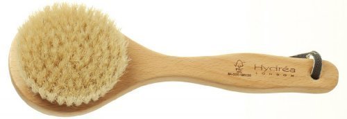 Short Body Brush with Natural Bristles - Wet or Dry Brushing