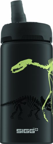 Preisvergleich Produktbild Sigg Trinkflasche Bottle NAT Dino Glow, schwarz, 0,4l, 8362.10