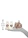 Shea Beauty Cube | The Body Shop 60ml Shea Shower Gel | 60ml Shea Body Whip | Cream coloured mini bath lily | Feel So Good The Body Shop Treat Gift Cube