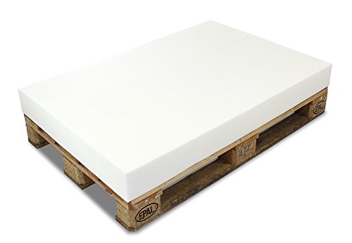 MSS® PALETTENKISSEN MATRATZENKISSEN (120x80x10 cm) SCHAUMSTOFF FÜR EUROPALETTE / HUNDEKISSEN / AUFLAGE