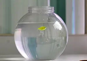 Aquarium Bowl |Bowl ONLY | Long Lasting | UN BREAKABLE | Plastic | | Crystal Clear Bowls | (Large 8 LTR)