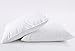 Puredown White Goose Feather and Down Pillow, Standard, Set of 2