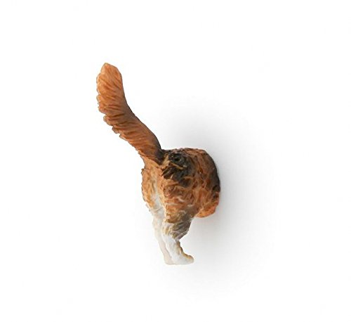 Kikkerland Cat Butt Magnete - 6