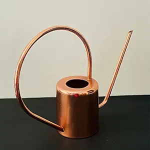 CasaGold: Long Spout Multipurpose Garden Water Can /Watering Can/ Gardening Tools / for Indoor & Outdoor ( 2.5 L) (Rose Gold)