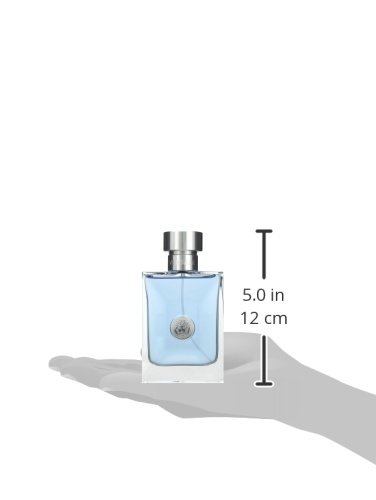 Versace Pour Homme, homme/man, Eau de Toilette, Vaporisateur/Spray, 100 ml - 4