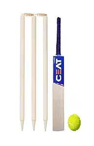 Top Team Wooden Cricket Kit Combo for All Age Kids Group