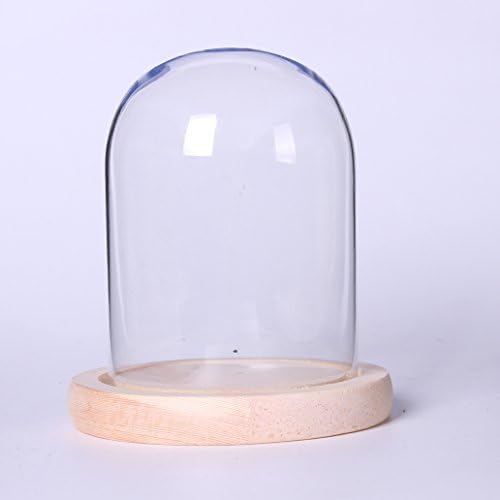 Siyaglass Decorative Clear Glass Dome Cloche Bell Cover 9cmx12cm