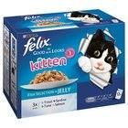 Preisvergleich Produktbild Felix So Gut Wie Es Aussieht Kätzchen , Fischauswahlin Gelee - Beutel (12X100G)