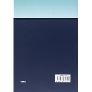 The performances of the major italian airport management companies