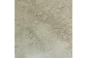 Eli-Chem Resins U.K Ltd resi-Crete Struktur- und Texturmedium für Kunstharzkunst/Mikrozement, Sand Dollar, 1kg Pack