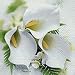 Produktbild Servietten 20 Stück 33 x 33 cm Cala creme, weiß / CALLA BOUQUET