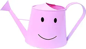Railing planter impex Eyes Smile 3 litres Metal planters Round Watering Can - Rust Free Home Decor Gifting, Garden, Gardening, Tools (Pack of, 1,Eyes Smile Pink)