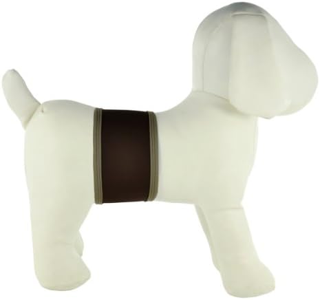 PlayaPup Male Dog Belly Band, Dark Brown, XX-Small