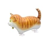 Wandern-ballon - Katze - 60cm Wandern-ballon - Katze - 60cm