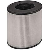 Bimar Filtro HEPA Alta Filtrazione a Carboni Attivi per PA98 e PA97 Filtro rete in tessuto da 4500h. Purificatore Aria WiFi P