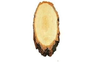 JAGD & ANGELSPORT SCHADE Birkenbrett Gehörnbrett für Rehwild, 20x12cm mit Ausfräsung