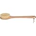 Hydrea London Professional Body Brush With Catus Bristles WBP133S-HD