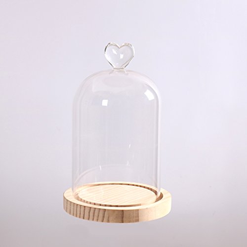 Gazechimp Glashaube Glasglocke Glassturz mit Holzboden Fairy Garten Terrarium Diy Landschaften Blumen Vase Haus Dekoration Herz - 6