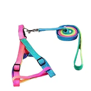 RvPaws Colorful Adjustable Nylon Puppy Leash Harness, Suitable for Puppy Nylon Puppy Leash Harness (15 mm Multicolor)