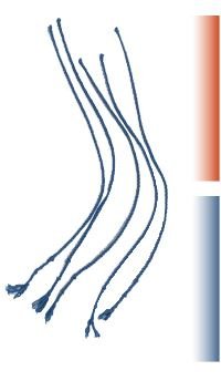 Price comparison product image MacTack Whip Driving Twig Lashes Red R99