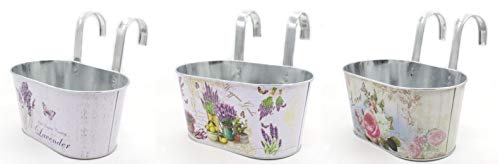 Blumentopf Hängend Kaufen | Echte-Pflanzen.de