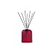 Produktbild Kartell F1050B3 Cache-Cache Diffusor, Plastik, rot, 12.5 x 13.6 cm