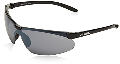 ALPINA Fahrradbrille Drift