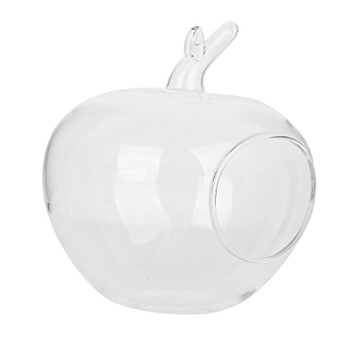 Klar Apfel Förmige Glas Hängen Vase Flasche für Pflanze Blume Schmuck - 8
