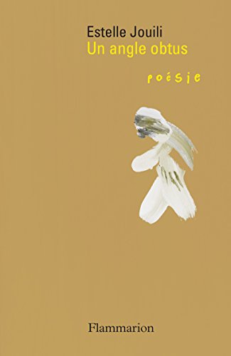 couverture de : Un angle obtus